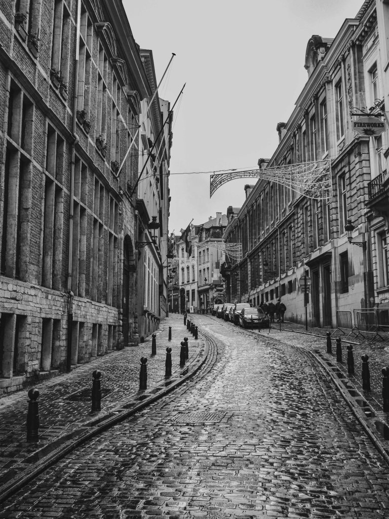 Wet cobbled street in Brussels curving between historic buildings and bollards.