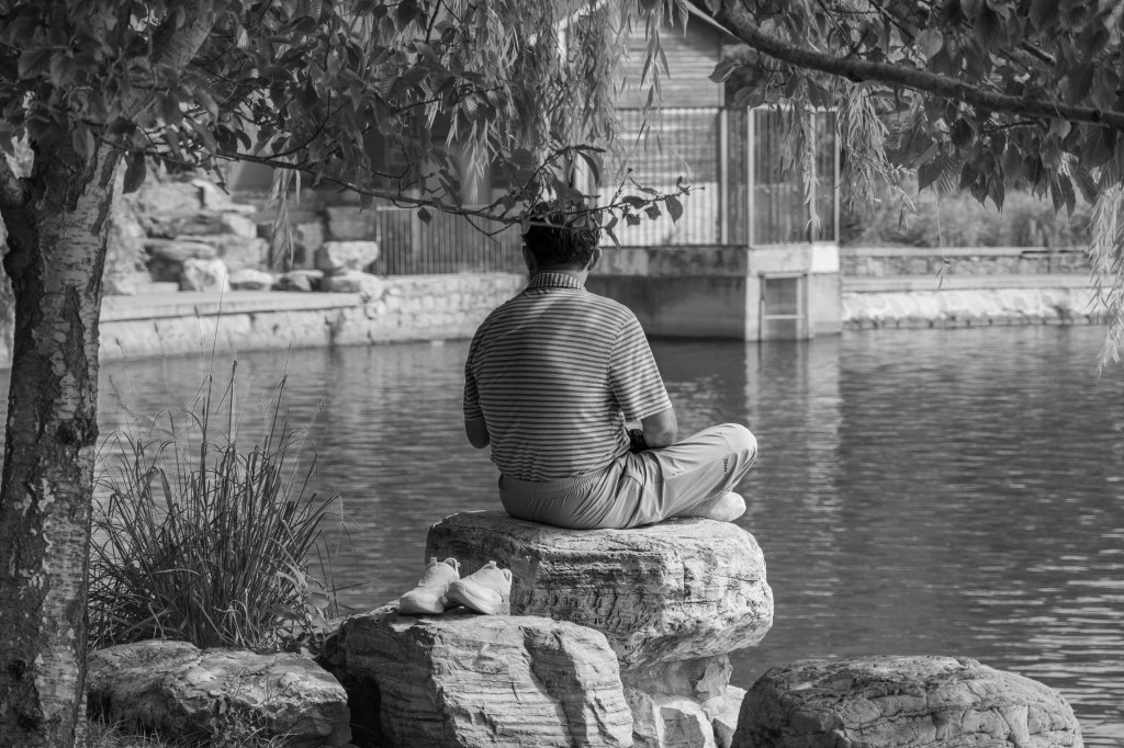 Person sitting on a stone beside a pond, seen from behind under trees.