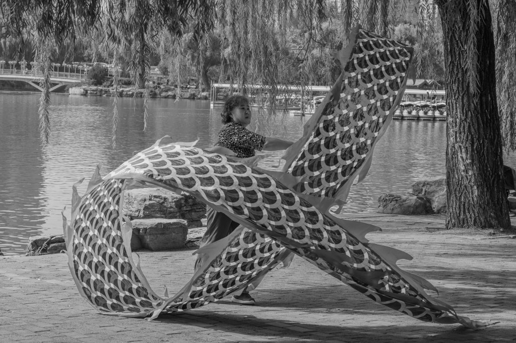 Woman playing with a large fabric dragon-shaped kite.