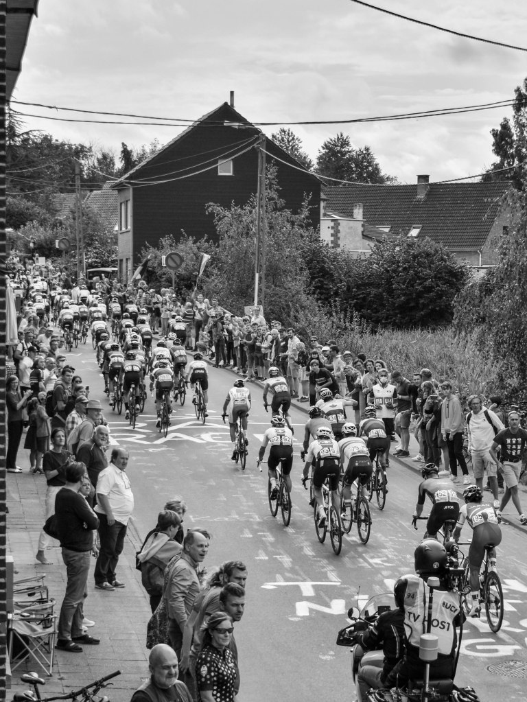 Wide view of the peloton moving through a residential road lined with spectators.