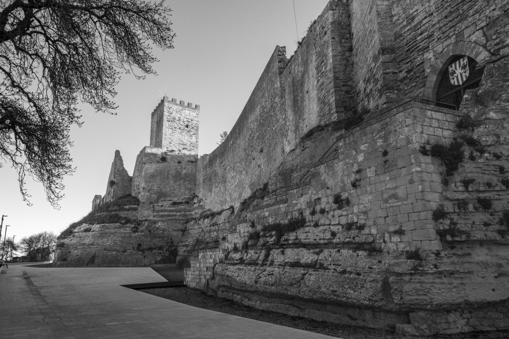 Massive fortress walls and a square crenellated tower rise directly from layered rock.