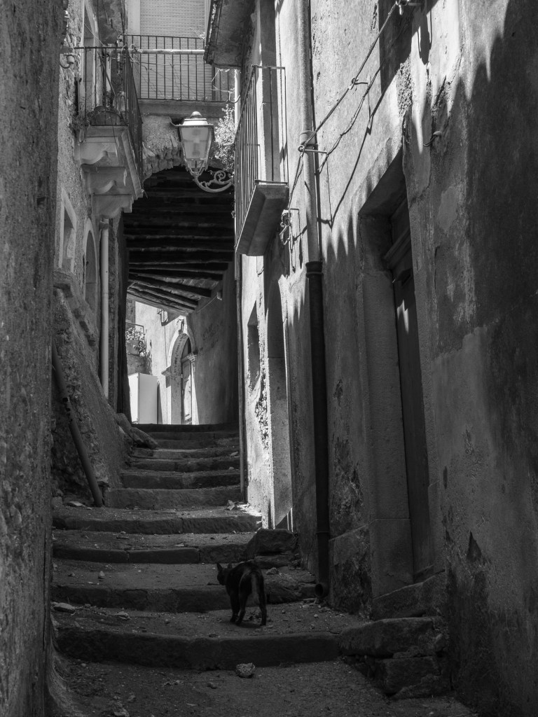 A black cat climbs worn stone steps through a narrow alley beneath balconies and an old streetlamp.