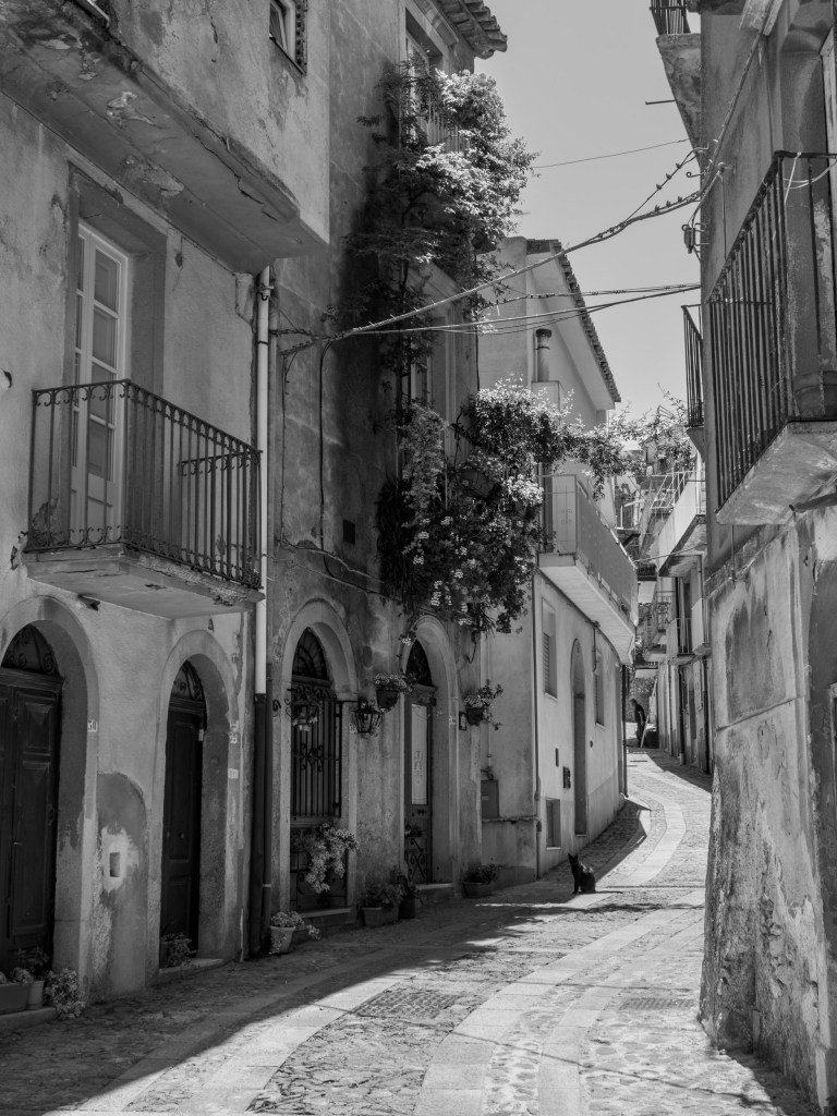 A narrow curving street is lined with weathered houses, flowering balconies and a black cat sitting in sunlight.