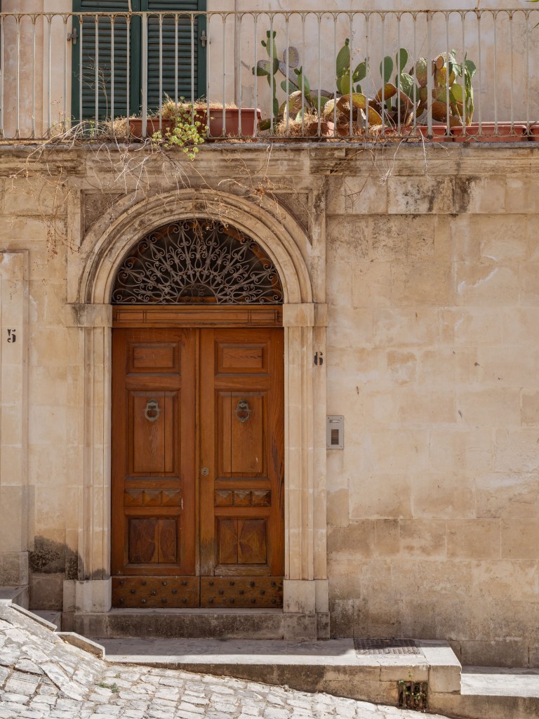 Arched wooden doorway beneath a balcony filled with prickly pear plants, dry vegetation, green shutters, and iron railings.